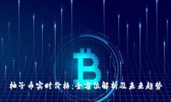 柚子币实时价格：全方位