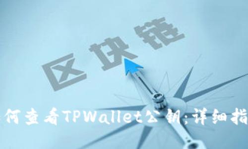 如何查看TPWallet公钥：详细指南
