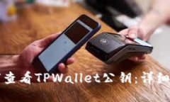 如何查看TPWallet公钥：详细指南