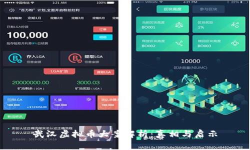 武汉虚拟币大案解析：真相与启示