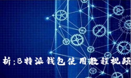 全面解析：B特派钱包使用教程视频大合集