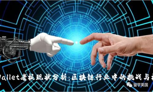 TPWallet老板现状分析：区块链行业中的挑战与机遇