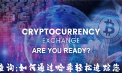 USDT交易查询：如何通过哈
