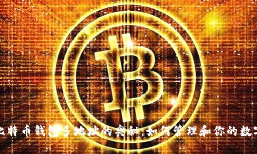 探索比特币钱包多地址的奥秘：如何管理和你的数字资产