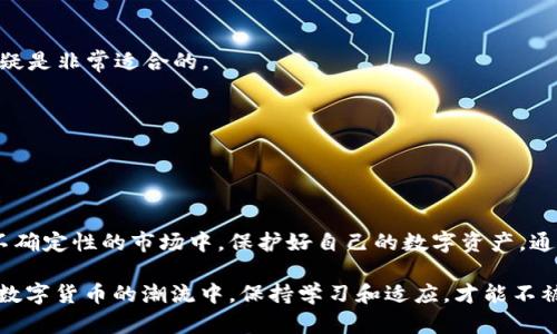 经济全球化时代：探索最佳区块链钱包应用的重要性与选择指南

区块链, 钱包, 数字货币, 加密资产/guanjianci

引言：区块链与数字货币的崛起

在当今经济全球化的浪潮中，区块链技术如同夜空中璀璨的明星，吸引着无数投资者和技术爱好者的目光。伴随着这一趋势，数字货币的不断兴起，使得区块链钱包成为每个参与者不可或缺的工具。就像“没有金钥匙，怎能打开财富的大门”，找到一款合适的区块链钱包，能够帮助用户安全、高效地管理其数字资产。

什么是区块链钱包？

区块链钱包是一种允许用户存储和管理加密货币的数字工具。它使用公私钥机制，确保用户资金的安全。许多人可能会感到困惑，认为钱包是像我们传统意义上理解的那样可以容纳现金的小袋子，实际上，区块链钱包并不存储货币本身，而是保留对这些货币的访问权。

这就如同“一日之计在于晨”，选对钱包的重要性不言而喻，不同的钱包类型提供的安全性、便利性和功能也各有所长。

区块链钱包的类型

区块链钱包主要分为三种类型：热钱包、冷钱包和纸钱包。

h4热钱包/h4
热钱包是在线连接的，这意味着用户可以随时随地访问自己的资金。它们通常使用便于快速交易的应用程序，如手机应用或网站。但是，正如“灯下黑”，虽然热钱包便捷，却也容易受到黑客攻击。因而，对于大额资产，用户需要谨慎选择。

h4冷钱包/h4
冷钱包则是脱离互联网的，常见的形式有硬件钱包和离线存储。这种钱包被视为非常安全的选择，因为无论是网络攻击还是恶意软件都无法接触。正如中国古话所说：“防人之心不可无”，对于长期保管数字资产的用户来说，冷钱包的安全性更为适用。

h4纸钱包/h4
纸钱包是将公私钥打印在纸张上的一种存储方式，具有极高的安全性。只需妥善保存纸张，便可避免网络风险。然而，“纸上得来终觉浅”，纸钱包的操作性和便捷性不足，强烈不推荐给新手或频繁交易者使用。

选择区块链钱包的要素

在选择区块链钱包时，有几个关键要素需要考虑：

h4安全性/h4
钱包的安全性无疑是首要考虑的因素。选择那些提供多重身份验证、冷存储选项的服务商，能够有效降低被盗风险。

h4用户体验/h4
钱包的界面设计和操作体验会直接影响用户的使用感受。一款友好的用户界面能够使新手用户更容易上手，正所谓“无难事，只怕有心人”。

h4支持的币种/h4
不同的钱包支持不同的加密货币。对于希望投资多种币种的用户，选择一个支持多种货币的钱包将是明智之举。

h4客户支持/h4
有效的客户服务团队可以帮助用户在遇到问题时迅速解决，如此能在关键时刻提供护航。就如同一条“船到桥头自然直”的道理，及时的支持是必要的。

推荐的区块链钱包应用

在此，我们整理了一些在业内颇具声誉的区块链钱包应用，供用户参考。

h41. MetaMask/h4
MetaMask 是一个专注于以太坊生态系统的热钱包，用户可以方便地进行代币交易、参与DeFi 项目。它的浏览器扩展功能实现了轻松的 DApp 访问。

h42. Ledger Nano S/h4
Ledger Nano S 是一款备受欢迎的冷钱包，支持多种加密货币，结合了强大的安全性与良好的用户体验。它就如同一位保镖，为您的数字资产保驾护航。

h43. Trust Wallet/h4
Trust Wallet 是 Binance 官方钱包，具有用户友好的界面，支持多币种。对于希望在一个平台上进行多种操作的用户，这款钱包无疑是非常适合的。

h44. Trezor/h4
Trezor 同样是一款知名硬件钱包，其强大的加密算法为用户提供了充足的安全保障，适合长期持有资产的用户。

结论：以安全为先，选择适合的区块链钱包

在选择区块链钱包时，务必始终以安全性为重。无论是热钱包还是冷钱包，选择适合自己的那款，才能真正做到“未雨绸缪”，在这充满不确定性的市场中，保护好自己的数字资产。通过本指南，希望能够帮助更多用户了解区块链钱包的选择，迈出成功投资的第一步。

在这个瞬息万变的数字时代，我们每个人都应掌握一些基本的金融知识，以应对未来的挑战。正如中国古话所言：“不怕慢，就怕站”，在数字货币的潮流中，保持学习和适应，才能不被时代淘汰。