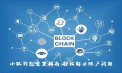 小狐钱包重置指南：轻松解决账户问题