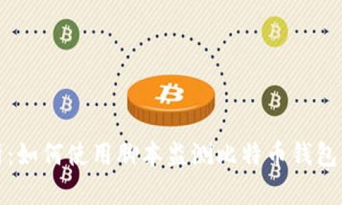 全面解析：如何使用脚本监测比特币钱包的安全性