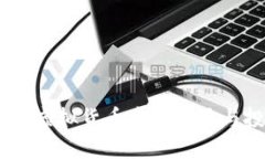 猴币：揭秘虚拟货币中的新星与投资机会