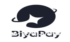 用虚拟币求婚：爱情与科技的浪漫交汇