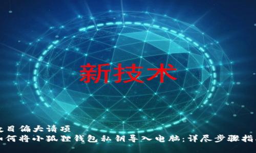 数目偏大请项  
如何将小狐狸钱包私钥导入电脑：详尽步骤指南