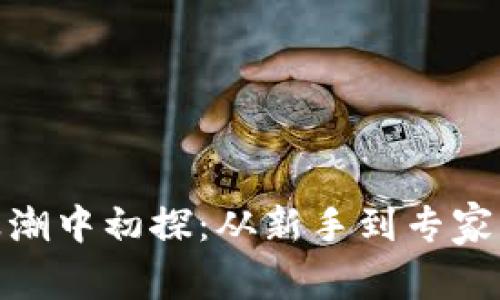 在虚拟币浪潮中初探：从新手到专家的成长之路