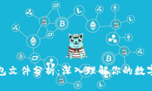 比特币钱包文件分析：深入理解你的数字资产安全