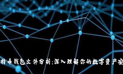 比特币钱包文件分析：深入理解你的数字资产安全