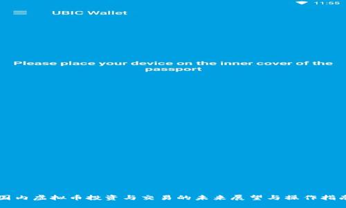 国内虚拟币投资与交易的未来展望与操作指南