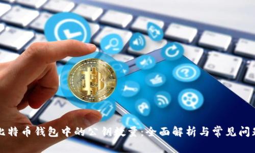 比特币钱包中的公钥数量：全面解析与常见问题