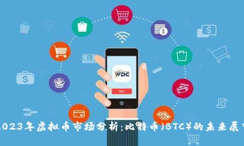 2023年虚拟币市场分析：比特币（BTC）的未来展望