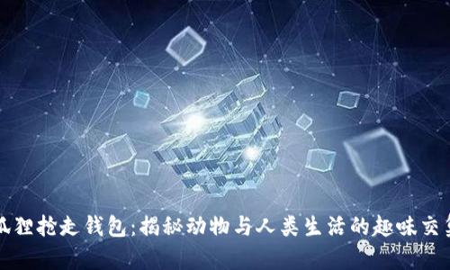 狐狸抢走钱包：揭秘动物与人类生活的趣味交集