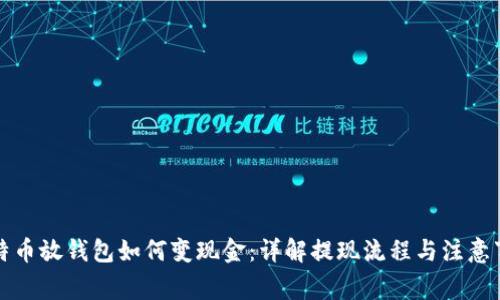 比特币放钱包如何变现金：详解提现流程与注意事项