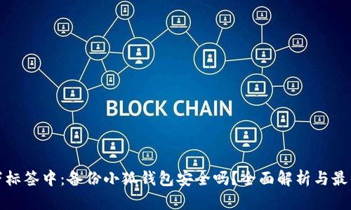 在以下标签中：备份小狐钱包安全吗？全面解析与最佳实践