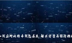 如何应对比特币钱包丢失：解决方案与预防措施