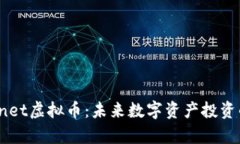 深入解析Skynet虚拟币：未来数字资产投资的潜力
